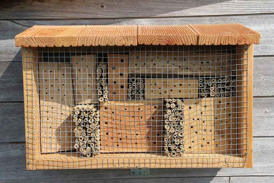 Top 8 Best Mason Bee Houses [2020 Reviews]