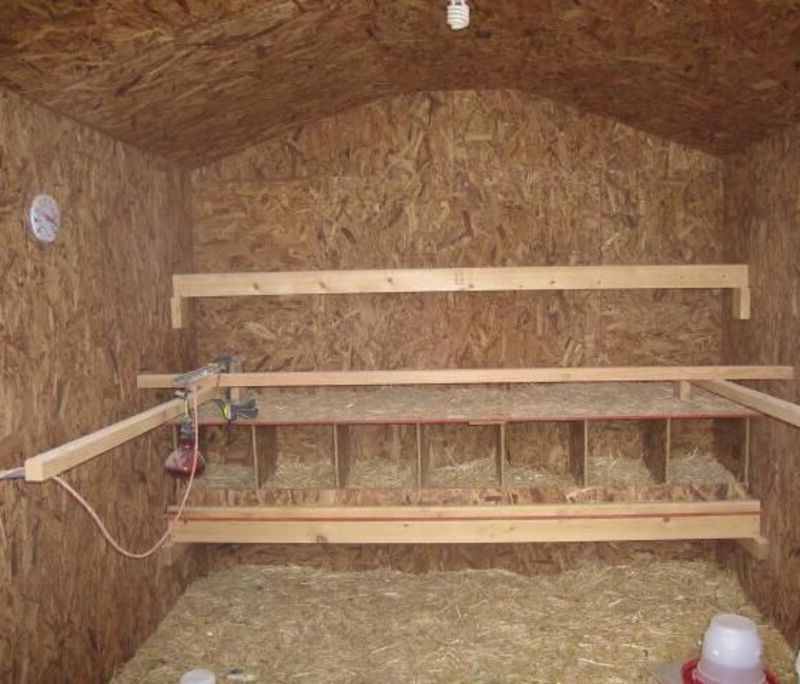 Does my chicken coop need a heater?